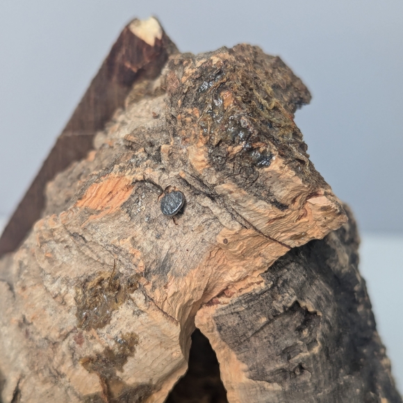 Vintage Italian Nativity Scene with Holy Family Made in Italy - Picture 8 of 15